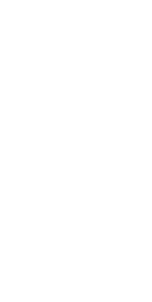 vector decorative